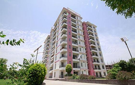 Property Image 5